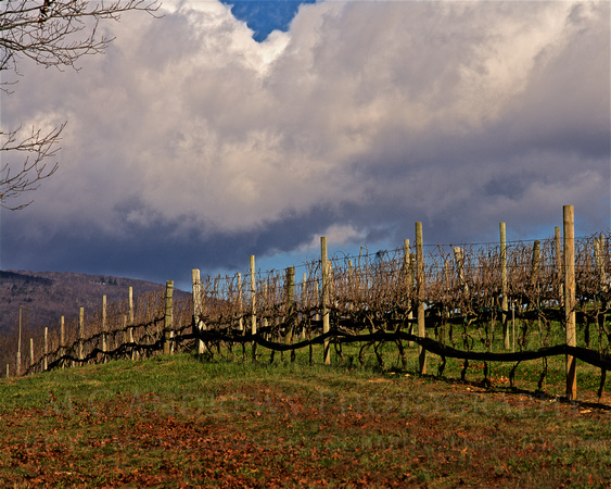 Bracing for Weather - Snow Showers in Wine Country