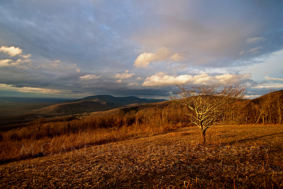 Advent of Spring at McCormick's Gap