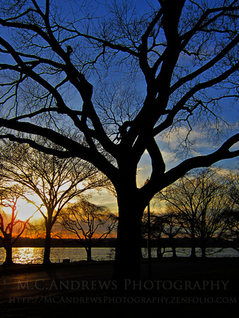 Sunsetting on Winter - East Potomac Park