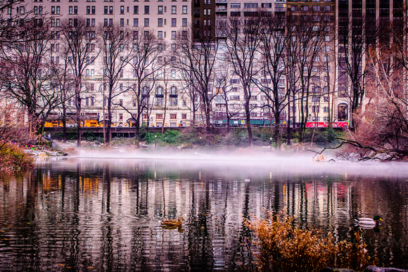 Central Park Fog