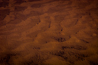 Abstract Landscape: Sonoran Desert IV