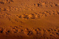Abstract Landscape - Sonoran Dunes II
