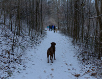 Snow Day - Join the Party