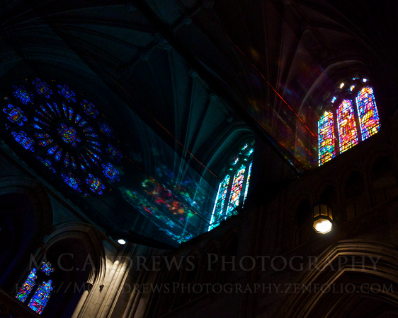 National Cathedral - Saints in Netting