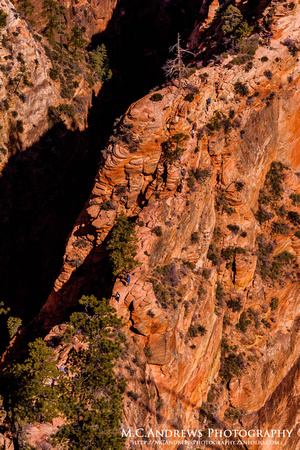 4-Angel's Landing - Thin Trail-4899