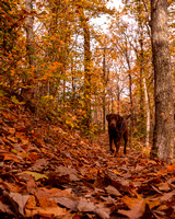 Sunday Afternoon on Mount Jefferson